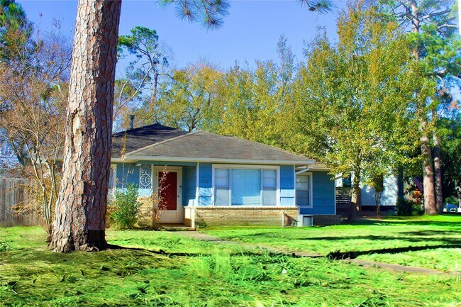 1002 Waltway Dr in Houston, TX - Building Photo - Building Photo