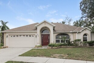 502 Oak Branch Ct in Kissimmee, FL - Building Photo