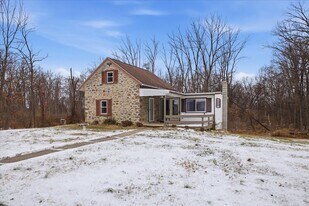 50 Calvins Ln in Mertztown, PA - Building Photo