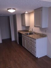 10101 Camelot Dr in Frisco, TX - Building Photo - Building Photo