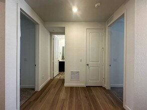 576 Nightsky St in Erie, CO - Building Photo - Building Photo