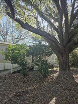 18520 Wildlife Trail in Spring Hill, FL - Building Photo