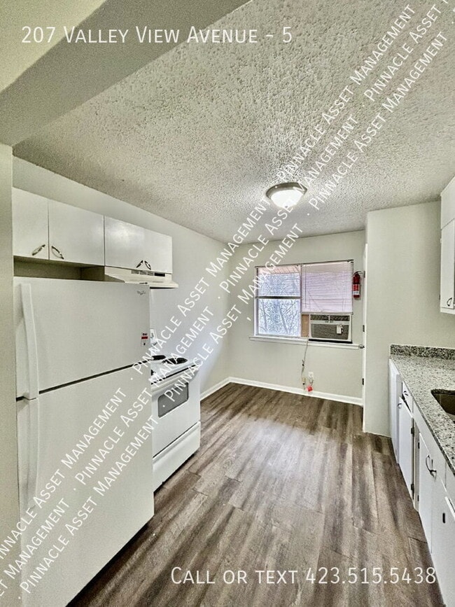 207 Valley View Ave in Chattanooga, TN - Building Photo - Building Photo