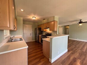 11903 Hornsby St in Austin, TX - Building Photo - Building Photo