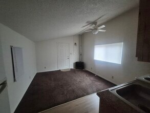 828 1/2 E Cache La Poudre St in Colorado Springs, CO - Building Photo - Building Photo