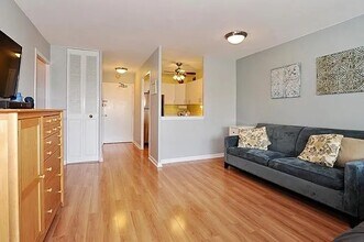 555 W Cornelia Ave in Chicago, IL - Building Photo - Building Photo
