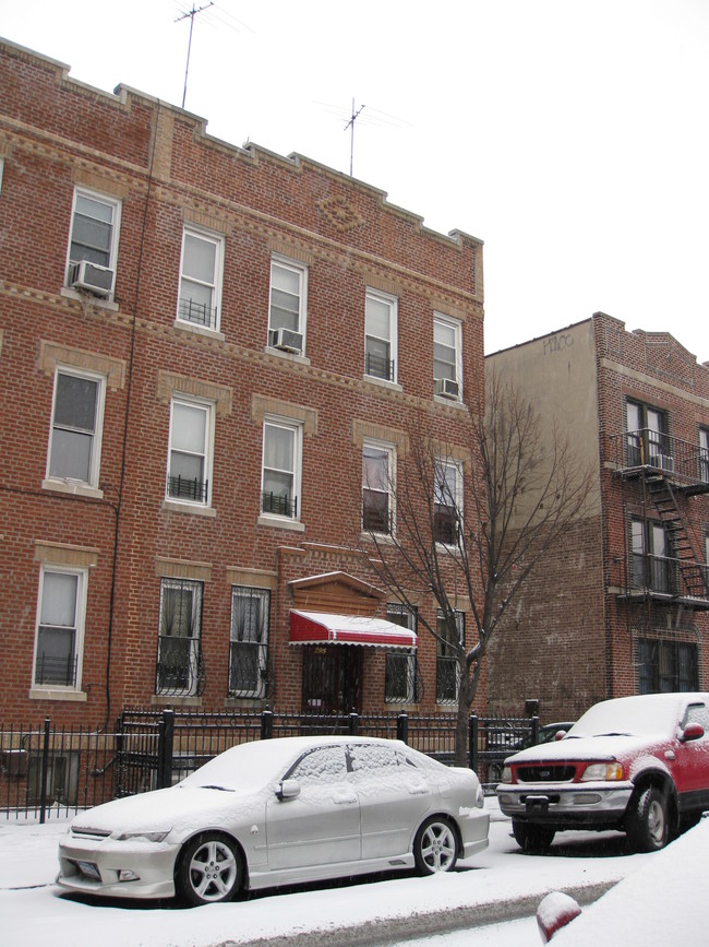 295 Schaefer St in Brooklyn, NY - Foto de edificio - Building Photo