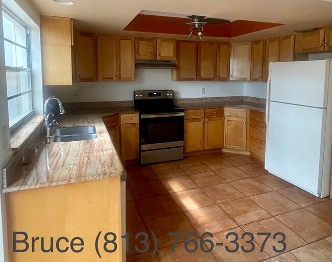 15304 Morning Dr in Lutz, FL - Building Photo - Building Photo