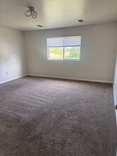 2364 Cherry Tree Ln in Diamond, IL - Building Photo - Building Photo