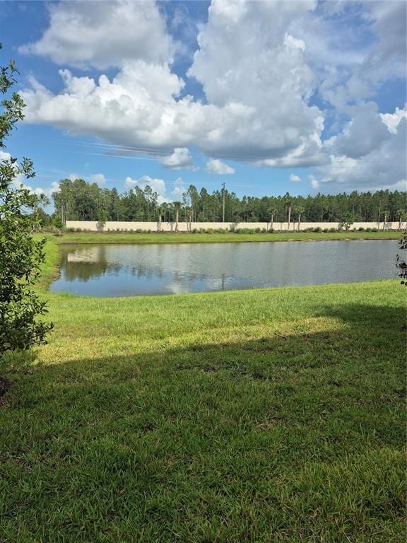 2198 Hallier Cv in Wesley Chapel, FL - Building Photo - Building Photo