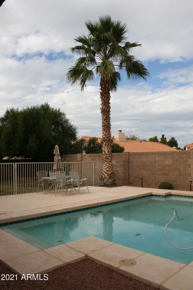 1604 W Enfield Way in Chandler, AZ - Building Photo - Building Photo