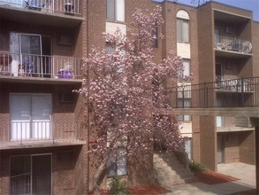 Ravenwood Apartments in Cincinnati, OH - Building Photo - Building Photo