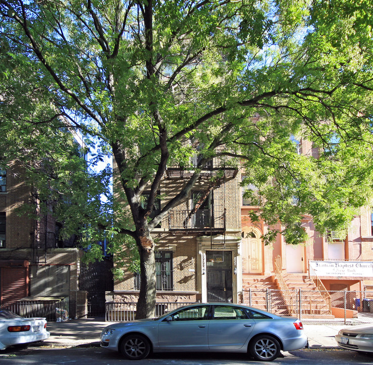 239 Prospect Pl in Brooklyn, NY - Building Photo