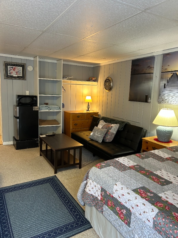 5712 Shanty Creek Rd in Bellaire, MI - Building Photo - Building Photo