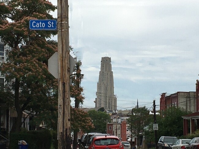 property at 502 Cato St