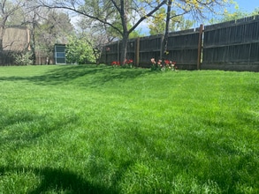 13542 Hazel Pl, Unit 1014 in Broomfield, CO - Building Photo - Building Photo