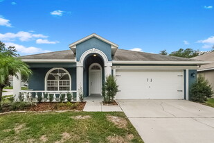 9709 White Barn Way in Riverview, FL - Building Photo
