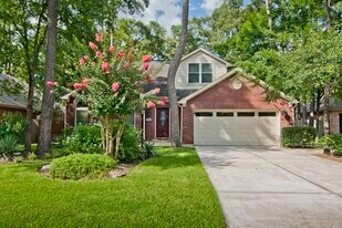 15 Meadow Cove Dr in The Woodlands, TX - Building Photo