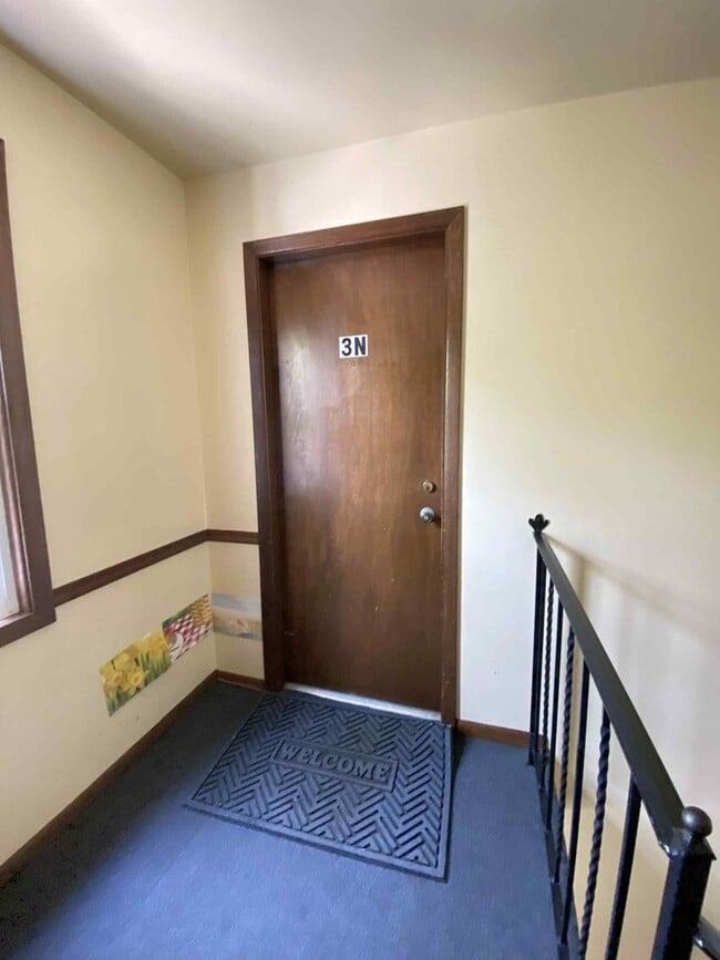 919 S Carpenter St in Chicago, IL - Building Photo - Building Photo