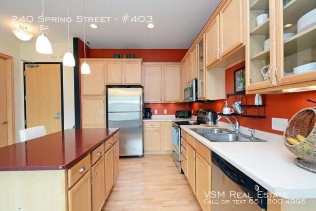 240 Spring St in St. Paul, MN - Building Photo - Building Photo