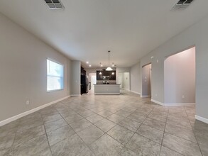 11809 Twilight Darner Pl in Riverview, FL - Building Photo - Building Photo