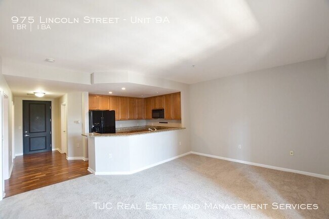 975 Lincoln St-Unit -Unit 9A in Denver, CO - Building Photo - Building Photo