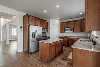 2057 Broadleaf Loop in Castle Rock, CO - Building Photo - Building Photo