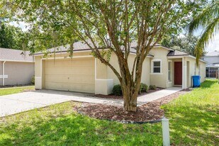 11813 Prickly Pear Way in Seffner, FL - Building Photo