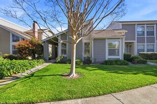 2337 Running Water Ct in Santa Clara, CA - Building Photo