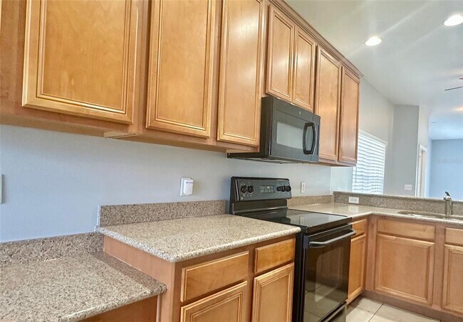 20307 Oak Key Ct in Tampa, FL - Building Photo - Building Photo