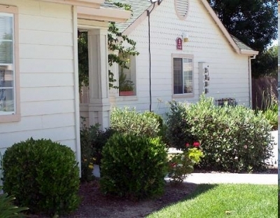 Westside Village Senior Apartments in Newman, CA - Building Photo - Building Photo