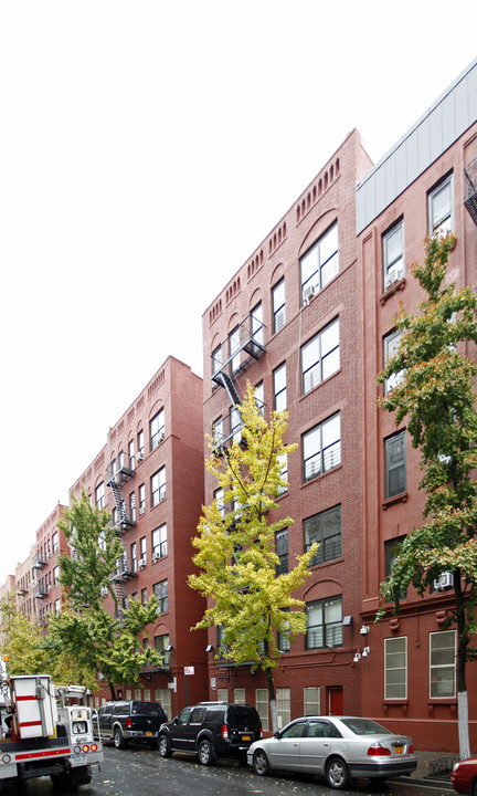 774 Fox St in Bronx, NY - Foto de edificio