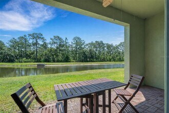 20459 Berrywood Ln in Tampa, FL - Building Photo - Building Photo