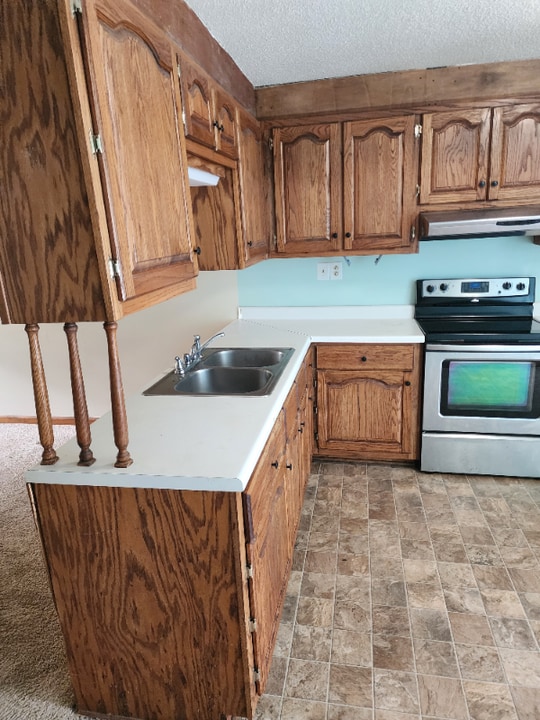 731 Hickory Dr in Pulaski, TN - Building Photo