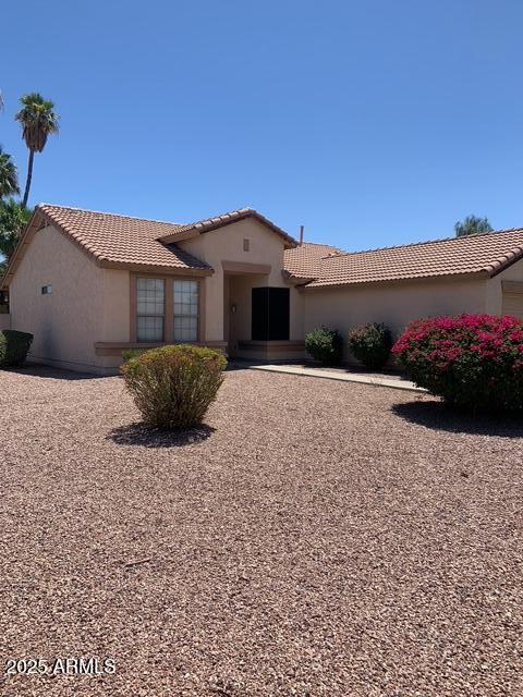 575 S Newport St in Chandler, AZ - Building Photo - Building Photo