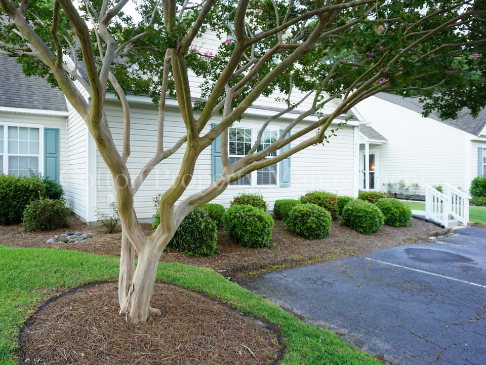 4604 Song Sparrow Ct in Wilmington, NC - Building Photo