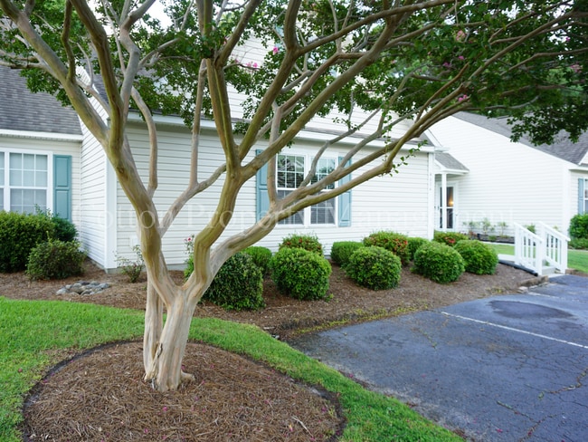 4604 Song Sparrow Ct