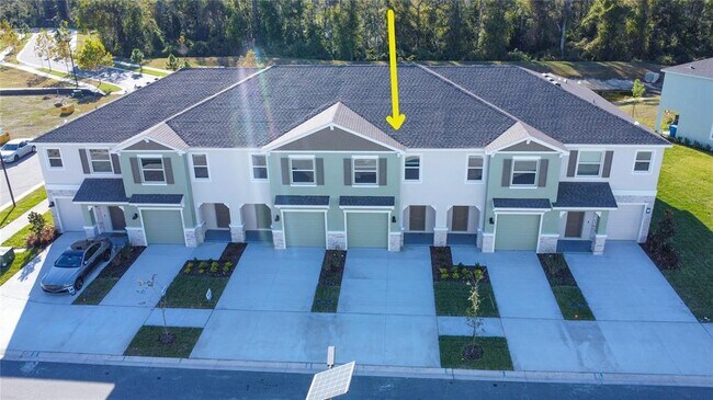 11367 Velvet Apricot Dr in Land O Lakes, FL - Building Photo - Building Photo