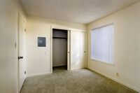 Palm Terrace Apartments photo'