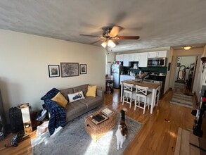 221 Holland St, Unit 3A in Somerville, MA - Building Photo - Building Photo