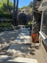 77 Mirabel Ave in Mill Valley, CA - Building Photo - Building Photo
