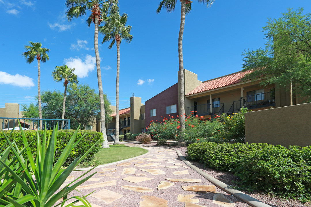 Icon on Park in Tucson, AZ - Foto de edificio