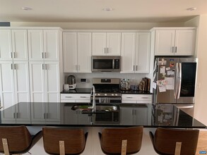 1517 Knoll Ln in Charlottesville, VA - Building Photo - Building Photo