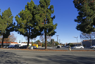 Equinox in Palo Alto, CA - Building Photo - Building Photo