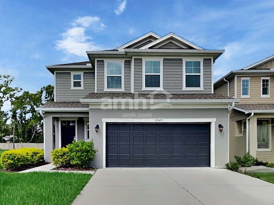 22473 Bellini Cir in Land O Lakes, FL - Building Photo