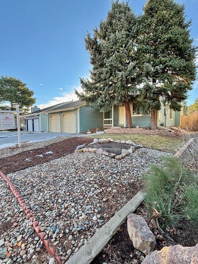 7374 Sheephorn Mountain in Littleton, CO - Building Photo - Building Photo