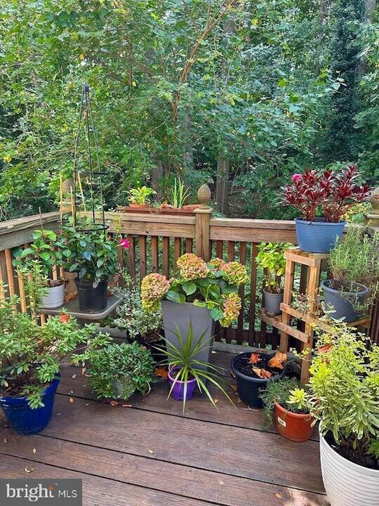 6035 Crown Royal Cir in Alexandria, VA - Building Photo