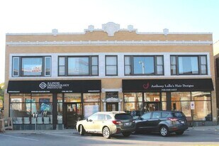 721 South Blvd in Oak Park, IL - Building Photo