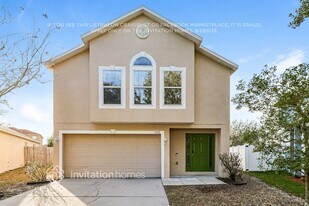 11142 Summer Star Dr in Riverview, FL - Building Photo