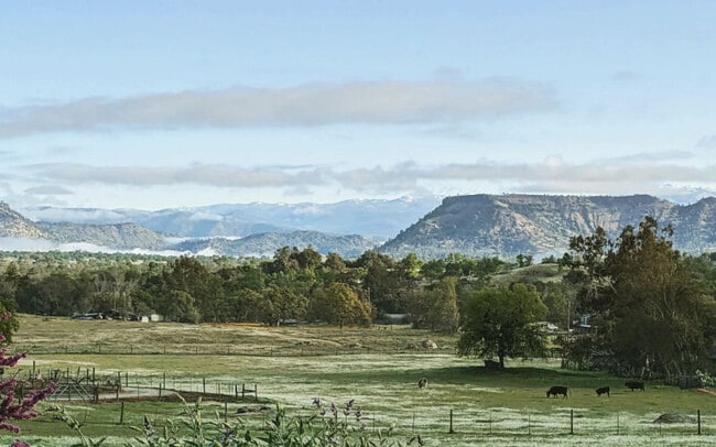 26178 Whispering Oak Ln in Clovis, CA - Building Photo - Building Photo